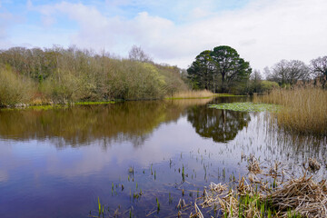 View over calm lake with reflection in water. parkland scene during early spring 