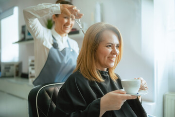 woman hair salon employee in modern hair studio cutting hair - 784788745