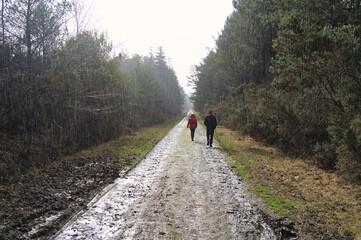 Couple of elderly people walking in the rain in the forest in Rennes, France