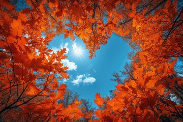 Naklejka premium Autumn forest background. Vibrant color tree, red orange foliage in fall park. Nature change Yellow leaves in October season Sun up in blue heart shape sky Sunny day weather, bright light banner frame