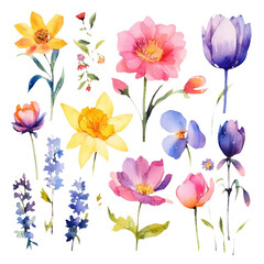 Vibrant Hand-Painted Flower Set