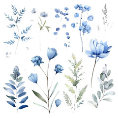 Vibrant Floral Illustrations