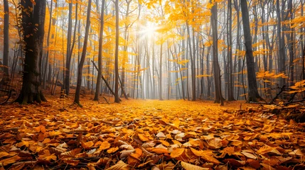Fotobehang A Magical Autumn: The Enchanting Dance of Fall in a Serene Forest © Antonio