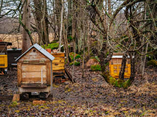 Wooden beehive in off season time on a muddy ground of a farm. Hobby and professional. Agriculture industry.