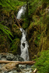Ipsut Falls Drops Through A Log Strewn Crack In Mountains