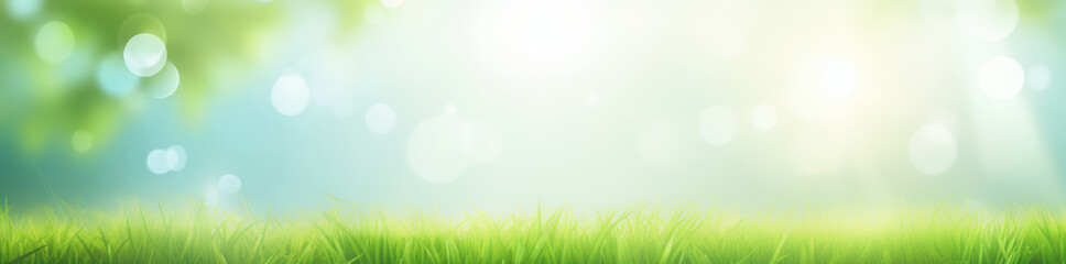 Fototapeta na wymiar Beautiful spring summer natural landscape. Green meadow grass and flowers on blurred forest, garden or park background with bokeh lights on warm sunny day. Colorful bright nature panoramic banner.