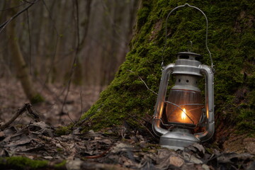 Kerosene lantern shines in green moss