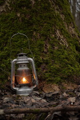 Kerosene lantern shines in green moss