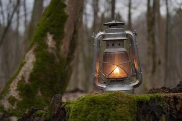 Kerosene lantern shines in green moss