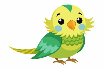 budgerigar budgie bird vector illustration