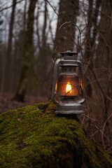 Fantasy kerosene lantern shining in green moss