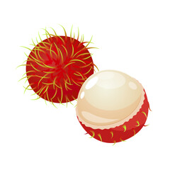 Tropical whole and half rambutan fruit isolated on a white background.