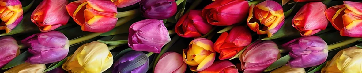 Poster photo of colorful tulips © Steph