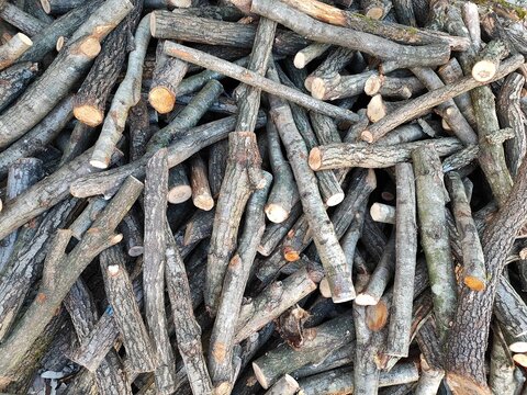 Cut wooden tree trunks to burn and make the house warmer