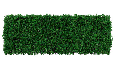 Green grass field. Symbol of natural and eco. Meadow template for design. Plant or grass isolated...