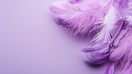 Feathers on a purple background, suitable for design with copy space, Mardi Gras celebration.
