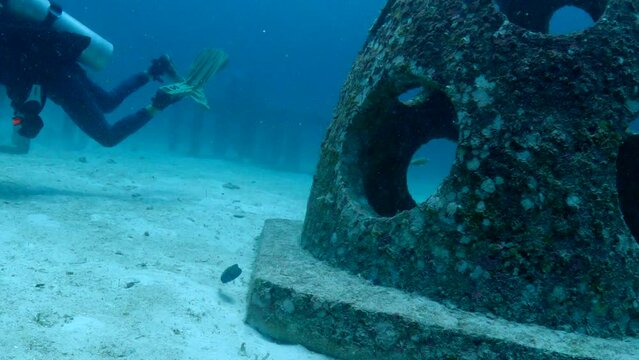 Under Water Film from Phuket in Thailand - blue and white puffer fish swimming through holed coral structures