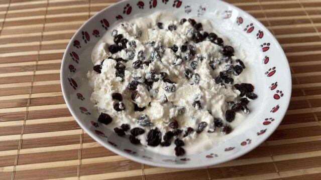 Cottage cheese with black raisins on a white breakfast plate for a healthy diet in background light bamboo. The water's hand serves food in the restaurant