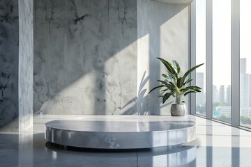 Potted Plant on Round Table