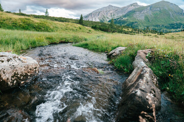 Mountain landscape. Mountain river, grass and mountains.Water flow and beautiful mountain view. Beautiful mountain landscape. - 784830598