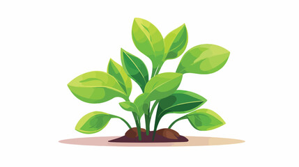 Vector image plant icon green color with white background