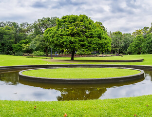 Park in summer with a circular lake. Flat park with a dominant leafy tree, greenery, space for relaxation. Background.