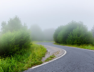 Asphalt road in the fog. Wet road with bends in summer foggy landscape after rain.;