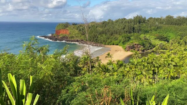 KAUAI - 3.19.2024 - Beautiful aerial view of palm trees and other greenery circling the beach of Allerton Estate in Kauai, Hawaii.