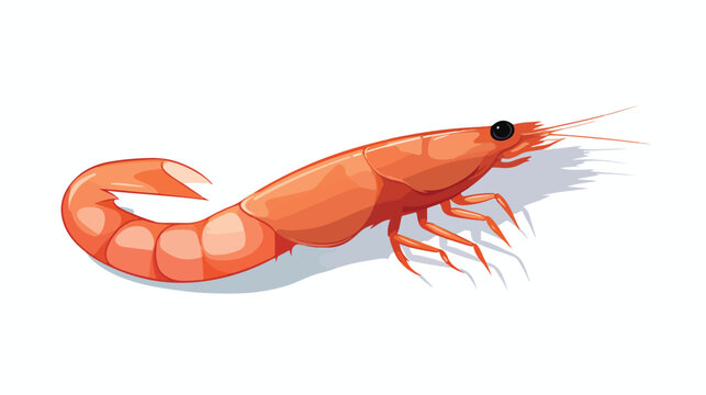 Vector image shrimp icon white background 2d flat cartoon