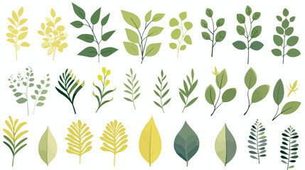 Vector plants branches and leaves collection with v