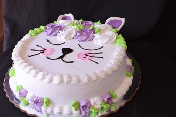 Pretty birthday cake, cat. funny 