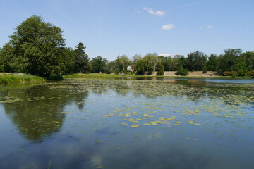 Wörlitzer See im Wörlitzer Park von Wörlitz