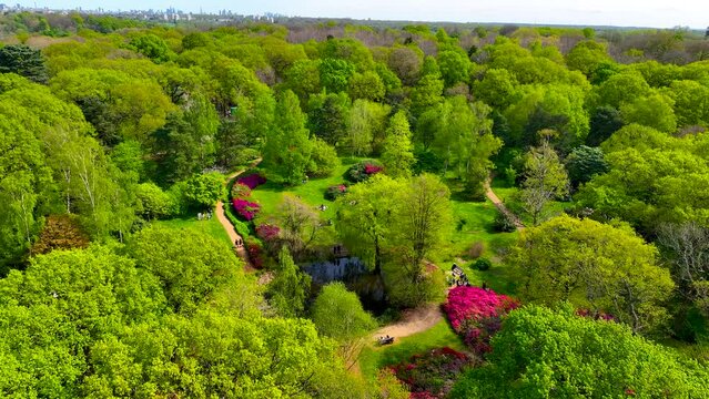 View of the Isabella Plantation, a beautiful woodland garden in Richmond, best known for its evergreen azaleas, ponds and streams, London, UK