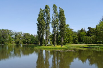 Pappeln am Wörlitzer See im Wörlitzer Park im Dessau-Wörlitzer Gartenreich