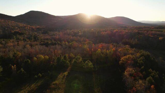 Drone Fly Towards Sun Flare Landscape Fall Foliage Trees