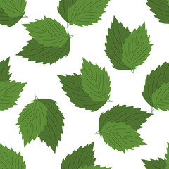Fresh herbs and spices seasonings seamless pattern. Mint leaves. Design of packaging, background, poster, flyer. Vector flat illustration.