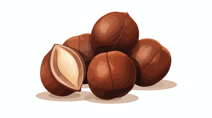 Walnuts isolated on white photorealistic vector illustration