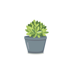 Hand drawn Illustration plant in pot