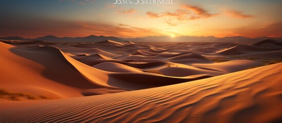 Desert sand dunes panorama at sunset. - obrazy, fototapety, plakaty