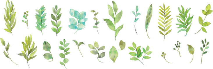 水彩画。水彩タッチで描いた草木ベクターイラスト。緑のハーブイラストセット。Watercolor painting. Herbs and trees vector illustration with watercolor touch. Green herbs illustration set.