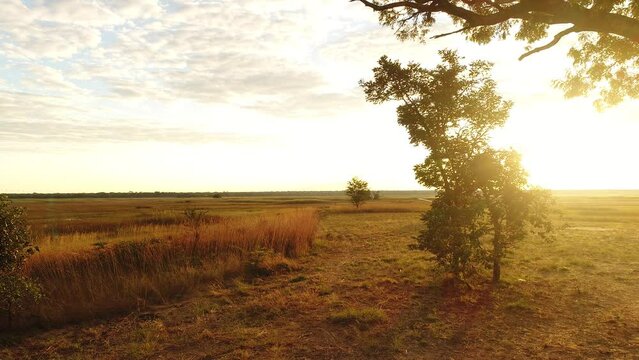 Sunset, wetland, grass, water, trees, helicopter, jet ranger, river, clouds, aerial view, Cuatir Conservation Area, Angola, Africa