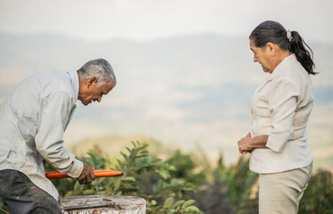 pareja de personas adultas trabajando en el campo al aire libre 