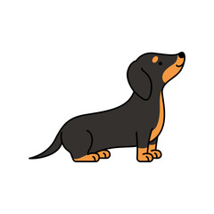 Cute dachshund dog vector illustration