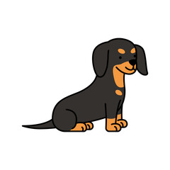 Cute dachshund dog vector illustration