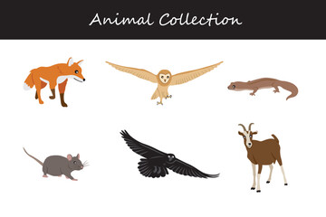 Animals collection isolated on white background. Flat style vector illustration.
