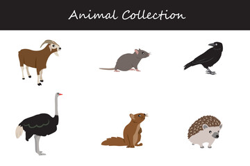 Animals collection isolated on white background. Flat style vector illustration.