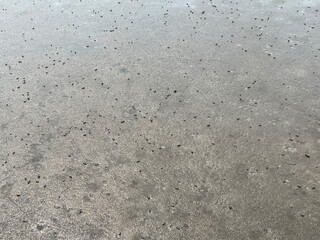 sand texture on the beach