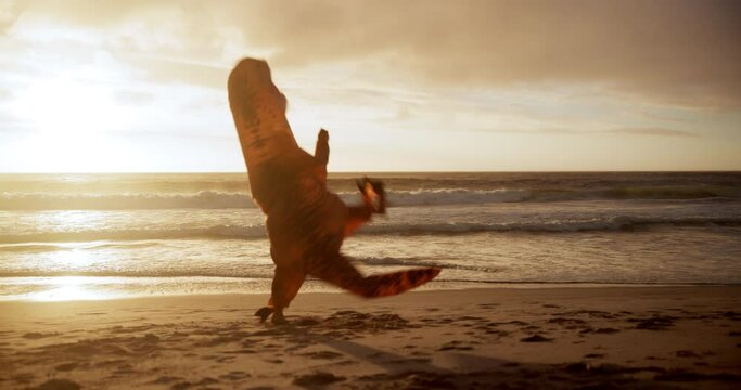 Dinosaur costume, outdoor and kickboxing at beach with funny, performance and fight air on sand. Ocean, sunset and inflatable mascot with punch for workout, entertainment and exercise in nature