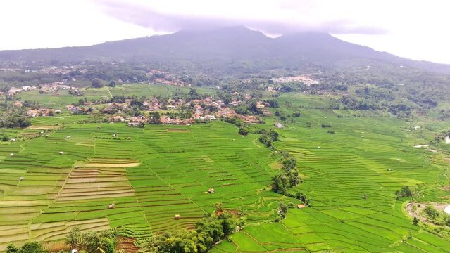 Hyper Lapse Landscape of Valley. Aerial view of valley with wide green rice fields on the edge of Bandung city - Indonesia. Above. Aerial Landscapes. Drone video with 4K resolution 30 Fps