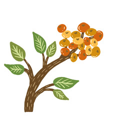 orange tree with fruits and green leaf